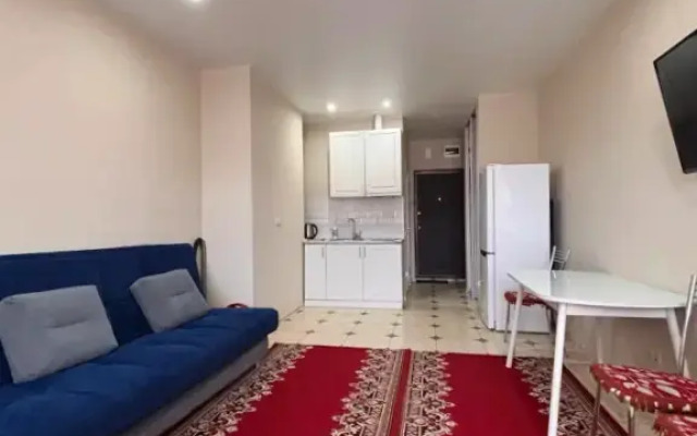 Квартира Студия 113 на улице Гайдара 22