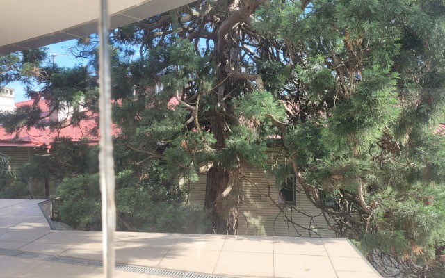 Апартаменты в Раевском