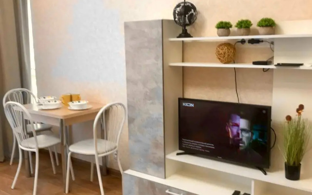 Квартира 2-комнатная студия в центре на Мичурина