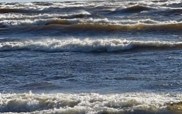 Гостевой дом Лисий берег