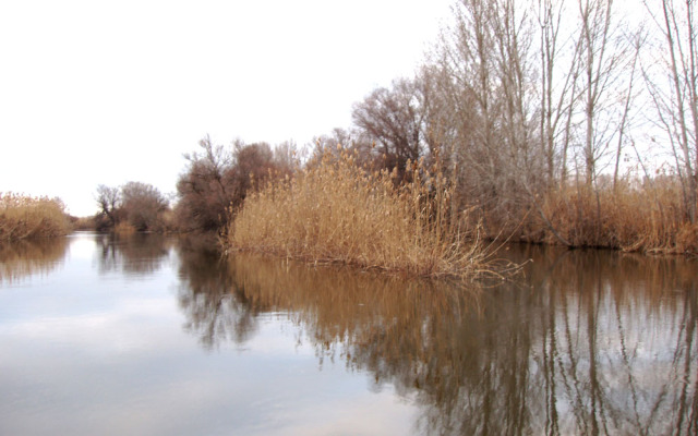 База Отдыха Найт-Флайт Дельта