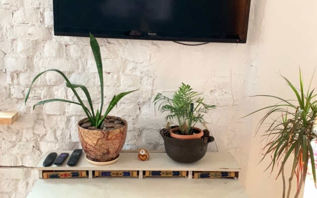 Апартаменты Оранжерея