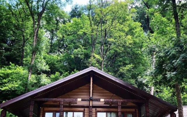 Ozero zhelanij Recreation camp