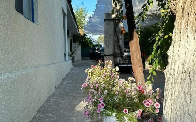 Мини-отель  Olivka Club