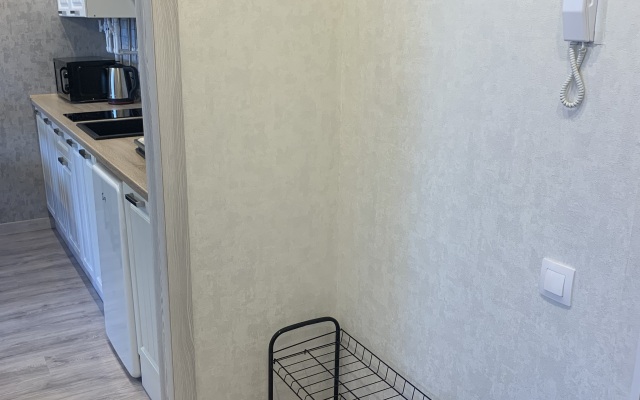 Svetlogorsk Flat