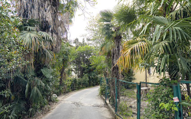 Квартира Капри Хаус Шестиместная Хоста Лофт