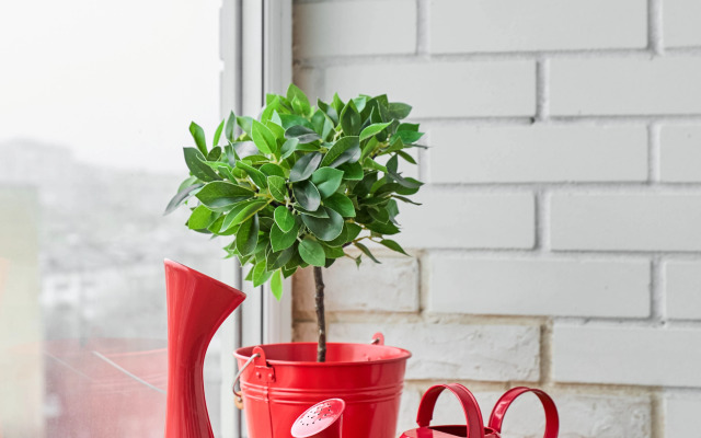 Квартира Люкс в центре Ростова-на-Дону