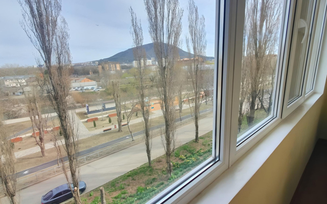 S Vidom na Goru Mashuk Apartments