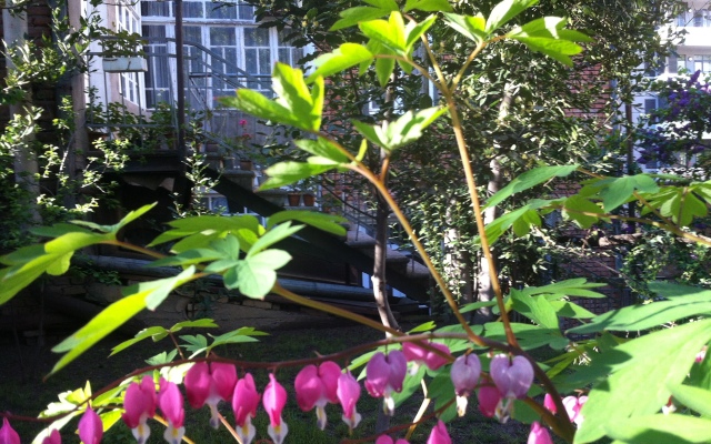 Granat Garden Guest House