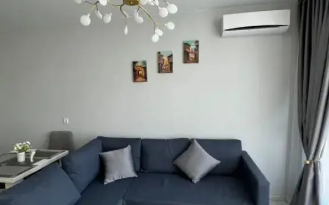 Квартира на Пластунской 123Ак3