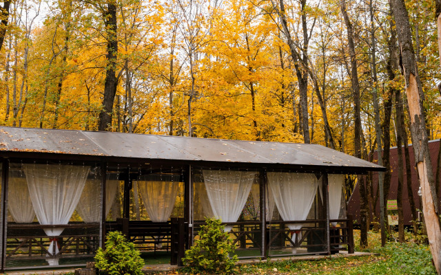 Отель Алмазы