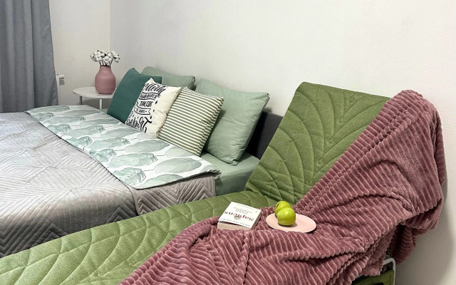 Studiya U Parka Pobedy Flat