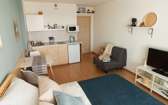 Апартаменты Студия на Берегу Охты