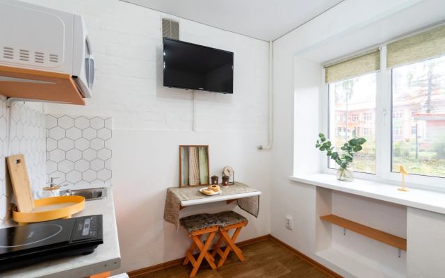 Pushkinskiy Flat 1