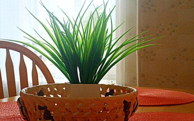 Квартира 3-комнатная в уникальном Амалиенау