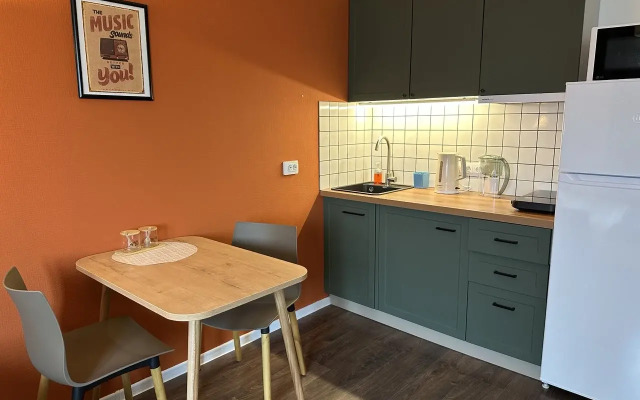 Uyutnaya Studiya s Vidom na Finskiy Zaliv Flat