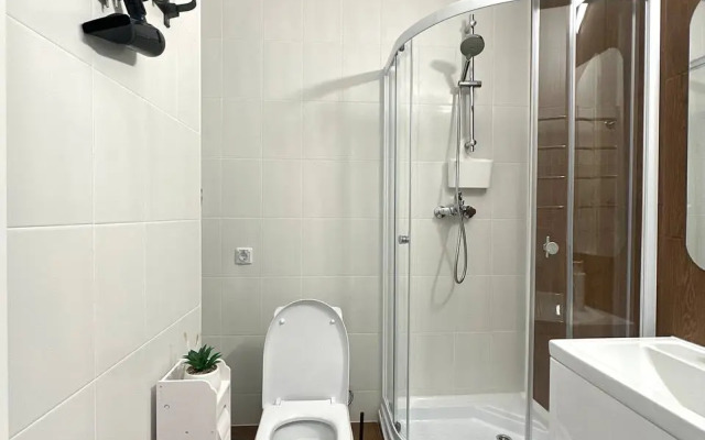 Uyutnaya Studiya Murinskaya Doroga Apartments