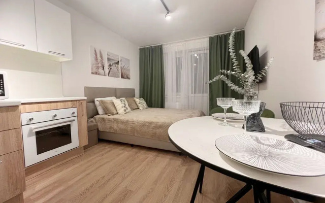 Nevabed Na Gudilovskoy 9 Apartments