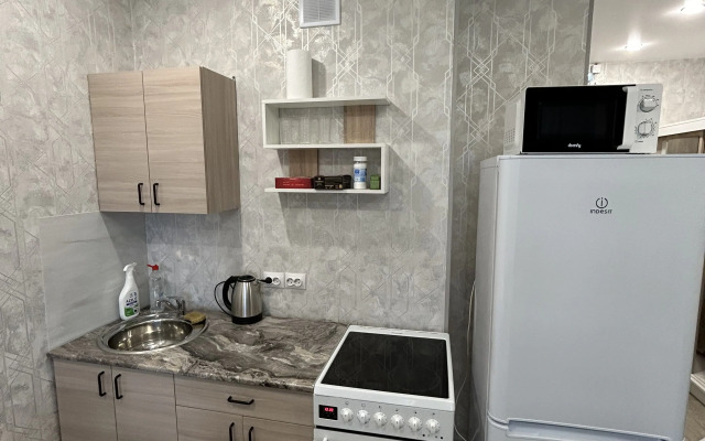 Uyutnaya v Aeroportu Novosibirska Flat