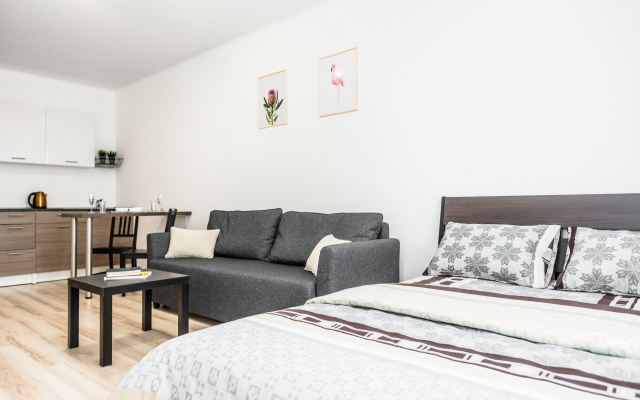 Апартаменты Pashk Inn Artek