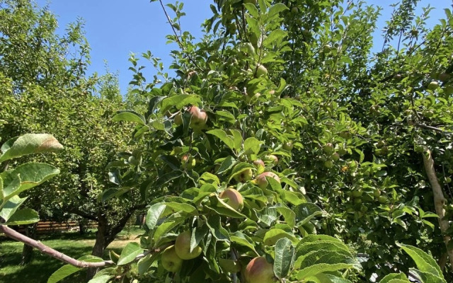 Частный дом Уют горных вершин