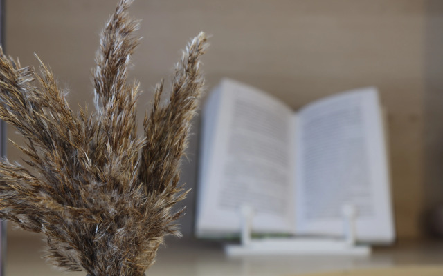 Квартира в Санкт-Петербурге