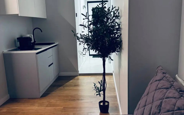 Апартаменты с видом на башни Москва-Сити 35_2