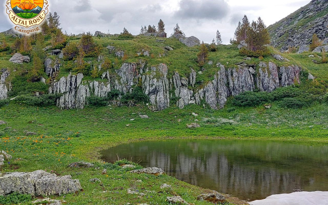 Recreation camp Altayskaya Roza