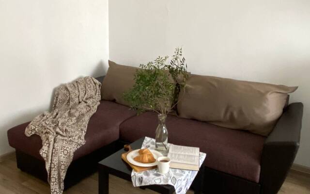 S Vidom Ptich'ego Poleta Apartments