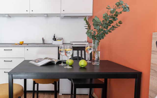 Studiya Terrakota na Bronnitskoy flat