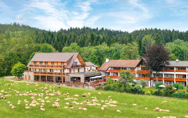 Отель Gruener Wald