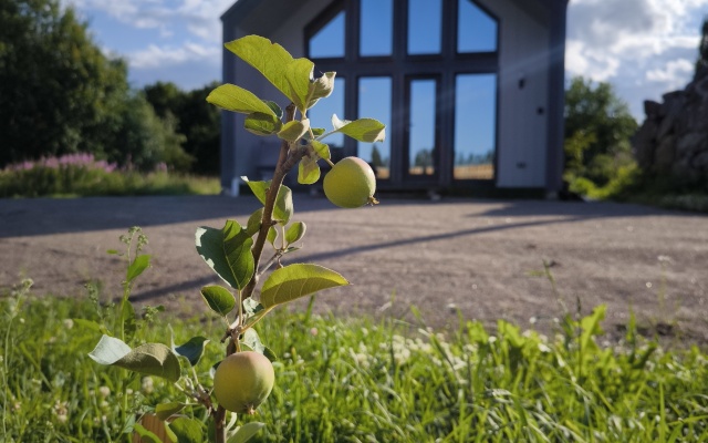 Частный дом Чёрный домик у озера Отрадное