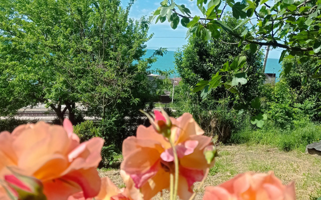 Evelinka Guest House