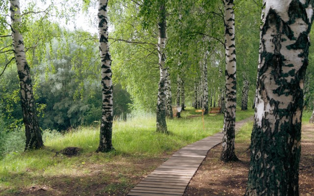 Urman Camp Glamping
