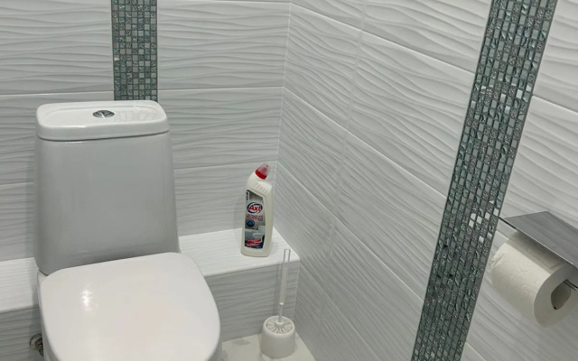 Krasivaya V Tsentre Goroda Flat