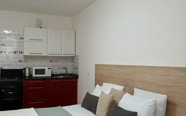 Koltsovo Sputnikov 16/4 Apartment