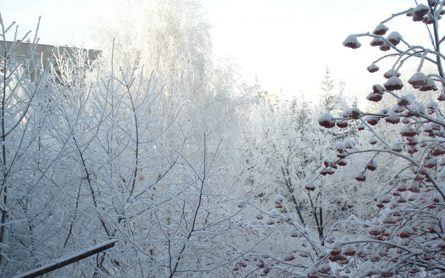 Квартира Двушка на Зорге