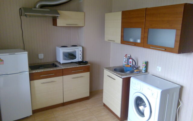 Na Gakkelevskaya 33K1 Apartments