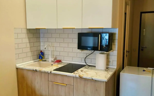 Studiya na Zapadnoy Flat