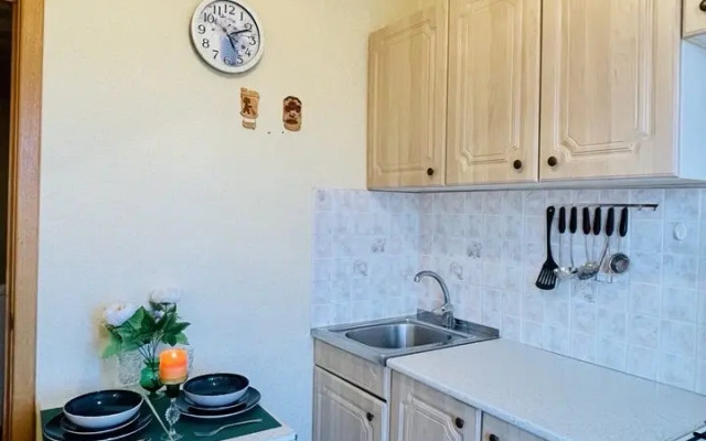 Biryulevskaya 31k1 Flat