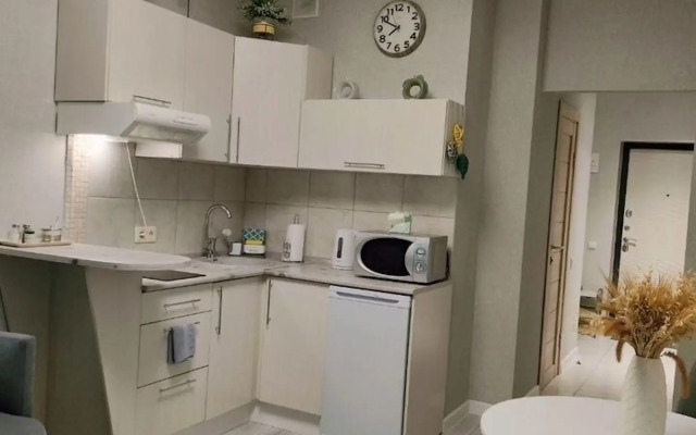 Квартира на улице Шумакова