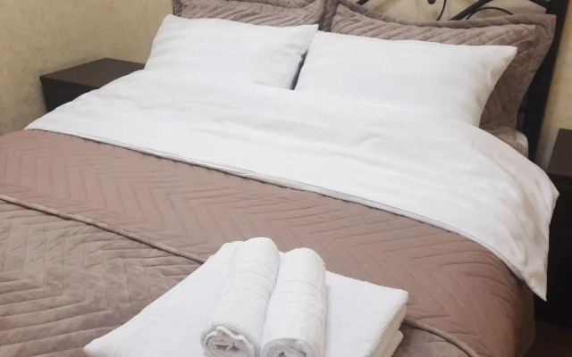 Квартира в центре с видом на Дон