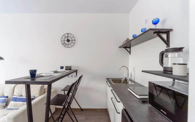 Квартира Радищева 41