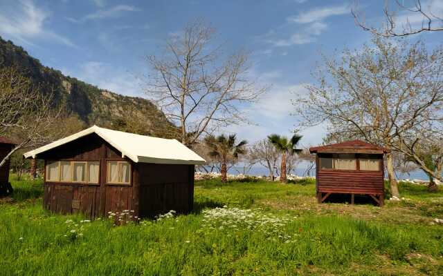 Глэмпинг Butterfly Valley