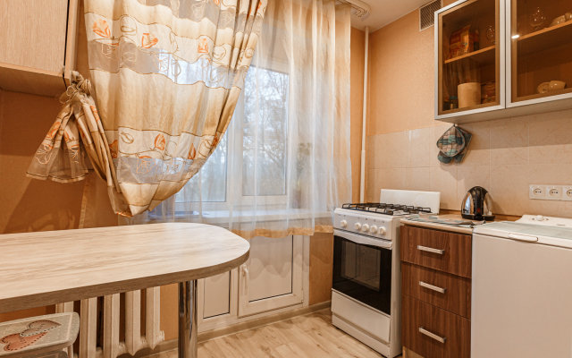 U Russkogo Doma Apartments