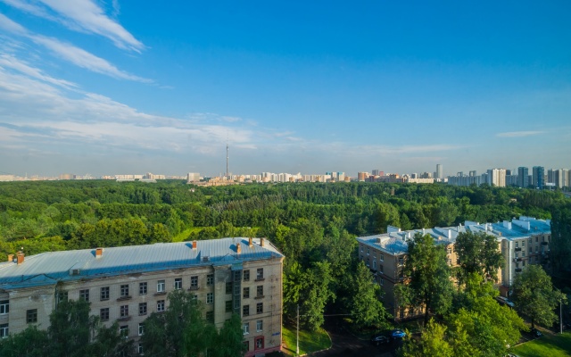 S Vidom Na Ostankino Wood&black Apartments