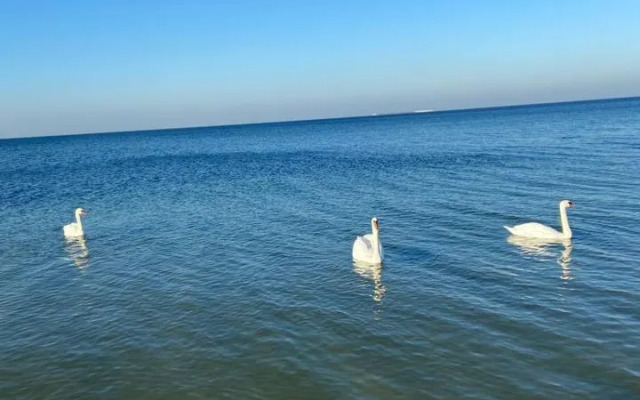 Квартира на улице Володарского 11