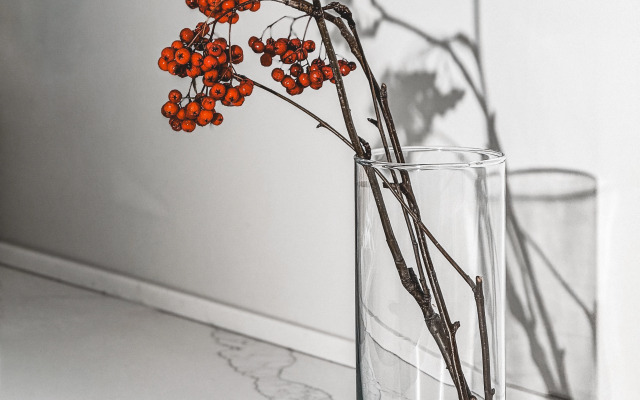 Тихая квартира в центре деловой жизни