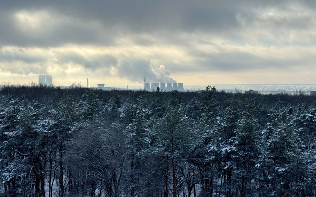 Квартира Уютная с видом на городской парк
