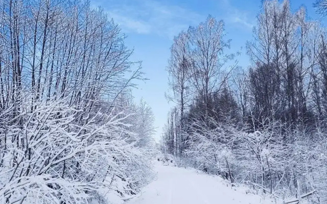 Частный Дом Шива